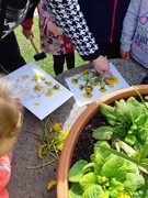 Tvoříme obrázky z pampelišek